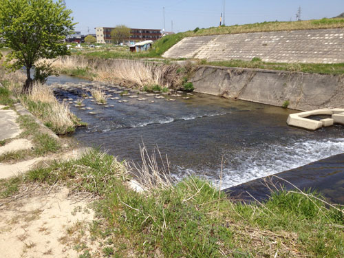 青木川のせせらぎ
