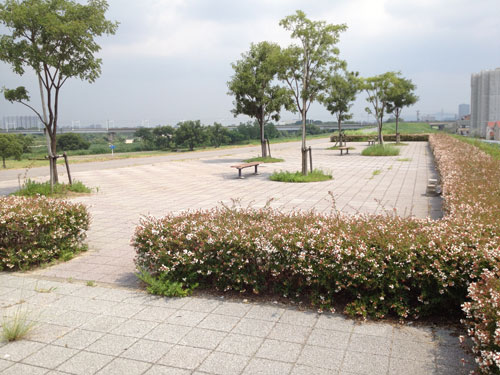 矢作川赤渋道路